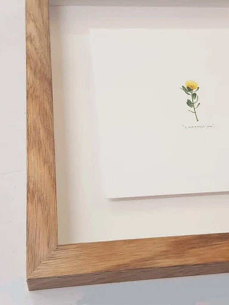 gallery (10)